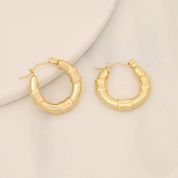 Wholesale Geometric Stainless Steel Earrings With Electroplating For Women Simple And Personalized