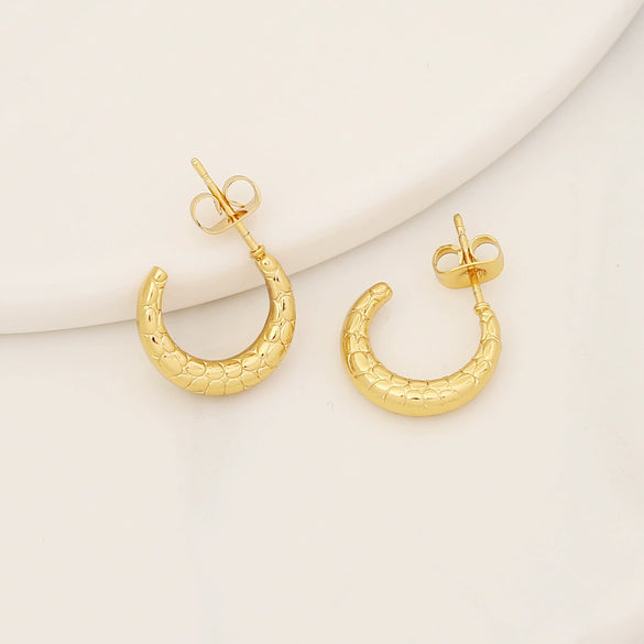 Wholesale Geometric Stainless Steel Earrings With Electroplating For Women Simple And Personalized