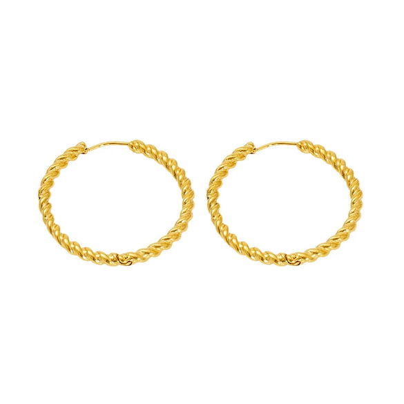Wholesale Geometric Stainless Steel Electroplated Earrings For Women