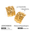 Wholesale Geometric Stainless Steel Electroplated Fashion Simple Smooth Concaveconvex Earrings Trend Jewelry