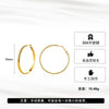 Wholesale Geometric Stainless Steel Electroplated Hoop Earrings For Women