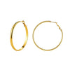Wholesale Geometric Stainless Steel Electroplated Hoop Earrings For Women