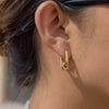 Wholesale Geometric Stainless Steel Electroplated Hoop Earrings For Women