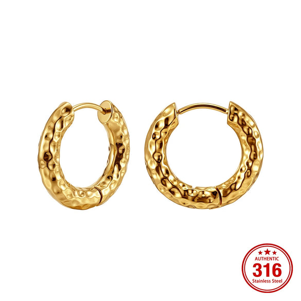 Wholesale Geometric 316 Stainless Steel Electroplated Hoop Earrings Unisex Original Design