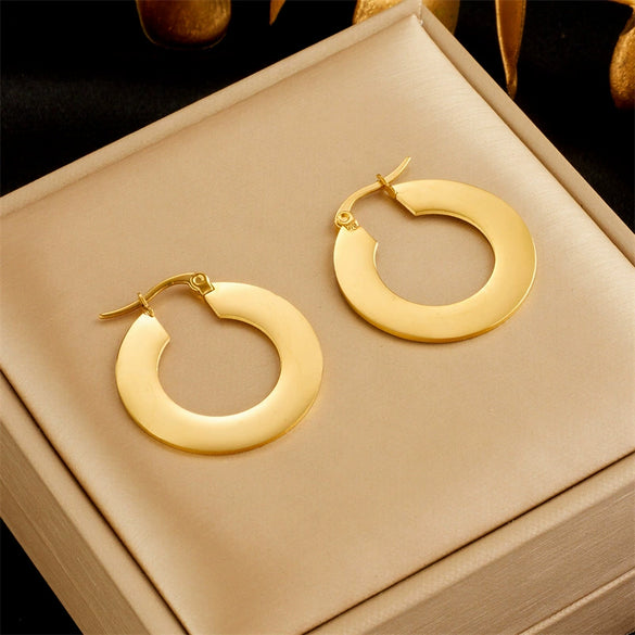 Wholesale Geometric Stainless Steel Metal Earrings With Electroplating For Women Fashionable And Simple Style