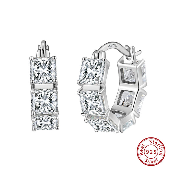 Wholesale Geometric Style S925 Sterling Silver Inlaid Zircon Earrings For Women