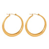 Wholesale Geometric Titanium Steel Hoop Earrings With Electroplating Retro And Light Luxury Design For Girls
