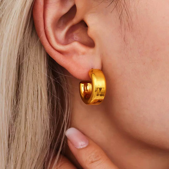 Wholesale Goldplated Titanium Steel Geometric Hollow 3D Exaggerated Ferris Wheel Unisex Earrings