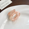 Wholesale Handmade Acetic Acid Cute Women's Hair Grip Clip For Horsetail And Bangs Fixing