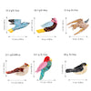 Wholesale Handmade Animal Design Acetate Hair Shark Clip For Women