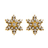 Wholesale Handmade Inlaid Snowflake Zircon Geometric Stainless Steel Earrings With Pvd Plating And 18K Gold For Women