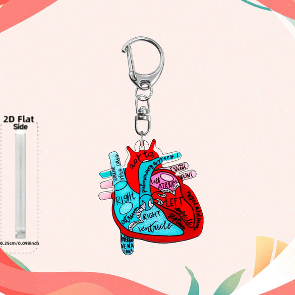 Wholesale Heart Shaped Acrylic Keychain With Nurse Theme Printing For Bag Charm Gift