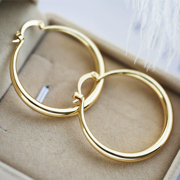 Wholesale Iron Geometric Big Circle Earrings Electroplated Punk Fashion Accessories