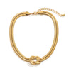 Wholesale Jewelry Alloy Snake Bone Chain Geometric Punk Hiphop Collarbone Necklace With Electroplating