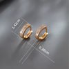 Wholesale Jewelry Copper Alloy Geometric Style Microinlaid Zirconium Doublerow Drill Circle Earrings For Women