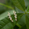 Wholesale Jewelry Copper Microinlaid Zircon Olive Branch Leaf Women's Earrings