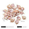 Wholesale Jewelry Natural Freshwater Baroque Pearl Stainless Steel Curved Pin Pendant