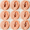 Wholesale Jewelry Titanium Heart Shape Diamond Earrings And Eyebrow Nails