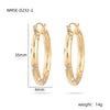 Wholesale Light Luxury Stainless Steel Geometric Earrings With Electroplating For Women