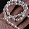 Wholesale Natural Freshwater Pearl Naked Beads Jewelry Material