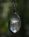 Wholesale Necklace Alloy Pendant Glass Glaze Dandelion Seed Ing Oval Retro Cartoon Style Women's