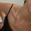 Wholesale Necklace Stainless Steel Titanium Steel Gold And Silver Stitching Color Gradient Snake Bone Chain Ushape Electroplating Unisex