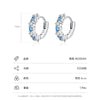 Wholesale Niche Geometric S925 Sterling Silver Inlaid Zircon Earrings For Women