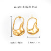 Wholesale Personality Stainless Steel Geometric Tassel Earrings For Women With Electroplating Design