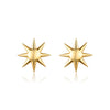 Wholesale Personality Sterling Silver 925 Electroplated Sun Earrings For Men And Women