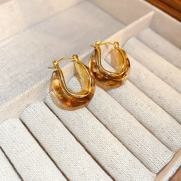 Wholesale Resin And Plastic Retro Ushaped Electroplated Earrings For Women