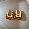 Wholesale Resin And Plastic Retro Ushaped Electroplated Earrings For Women
