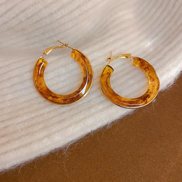 Wholesale Resin And Plastic Retro Ushaped Electroplated Earrings For Women