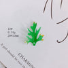 Wholesale Resin Jewelry Accessories With Simulation Flower Petals And Leaves For Diy Earrings Environmentally Protected