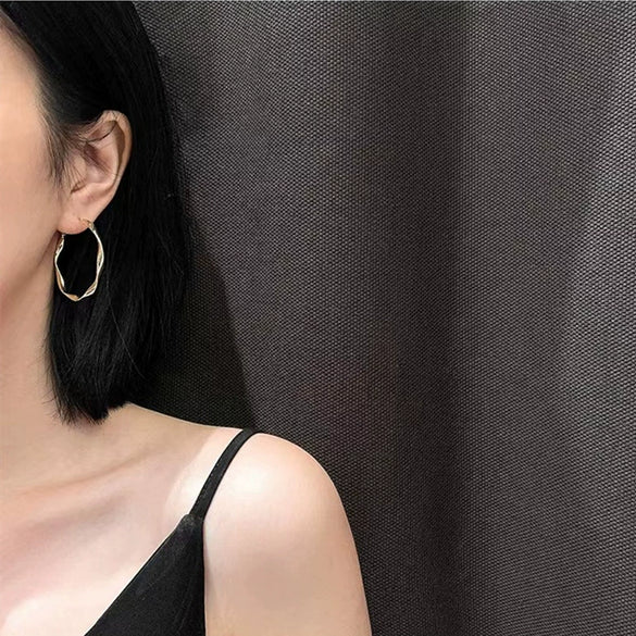 Wholesale S925 Silver Needle Twisted Hoop Earrings Alloy Geometric Electroplated For Women