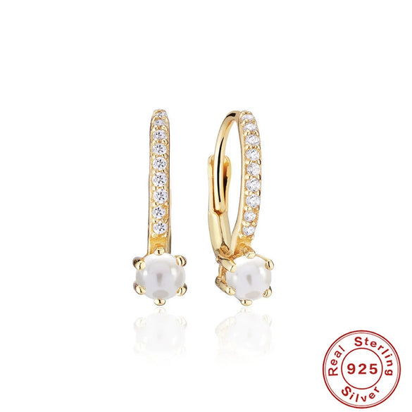 Wholesale S925 Sterling Silver Circle U Shaped Geometric Exaggerated Women's Earrings With Zircon