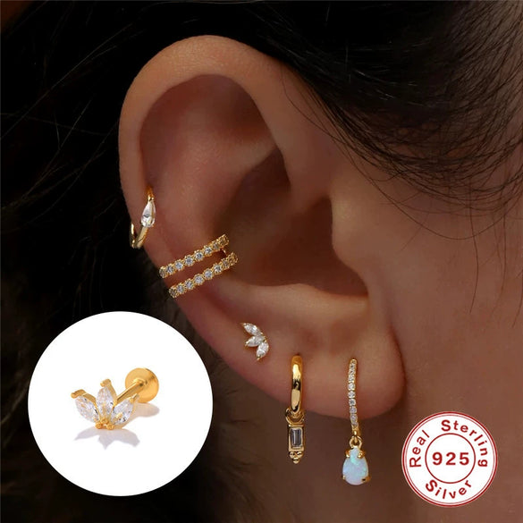 Wholesale S925 Sterling Silver Crown Diamond Earrings With Geometric Pattern And Environmental Protection Electroplating For Women