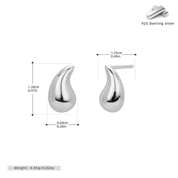 Wholesale S925 Sterling Silver Drop Shape Electroplated Women's Earrings