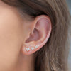 Wholesale S925 Sterling Silver Fourleaf Clover Zircon Earrings For Women With Flower Pattern And Diamond Treatment