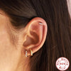 Wholesale S925 Sterling Silver Geometric Dog Paw Diamond Embedded Single Stud Earrings With Electroplating For Women