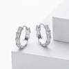 Wholesale S925 Sterling Silver Geometric Inlaid Zirconium Electroplated Light Luxury Style Earrings For Women