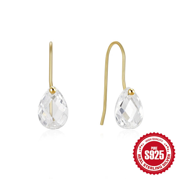 Wholesale S925 Sterling Silver Geometric Water Drop Transparent Zircon Elegant High Grade Women's Earrings