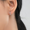 Wholesale S925 Sterling Silver Geometric Zircon Inlaid Women's Light Luxury Earrings