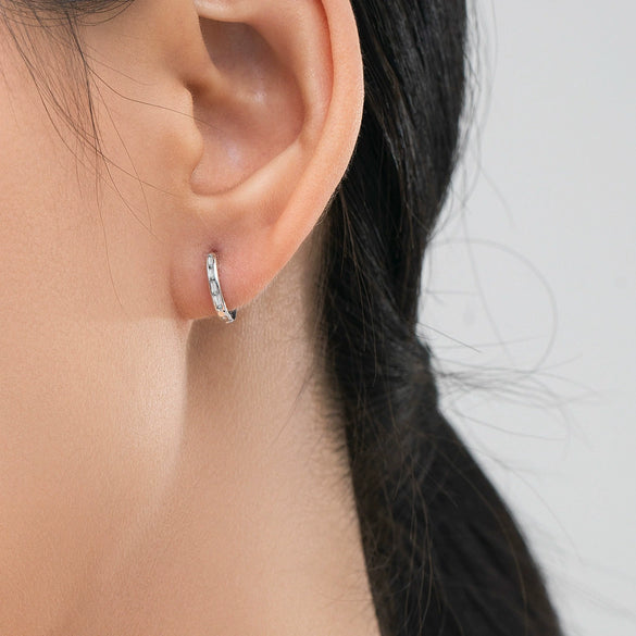 Wholesale S925 Sterling Silver Geometric Zircon Inlaid Women's Light Luxury Earrings