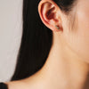 Wholesale S925 Sterling Silver Leaf Design Electroplated Ear Studs For Women