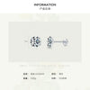 Wholesale S925 Sterling Silver Simple Geometric Zircon Earrings Set With Precious Stones For Women