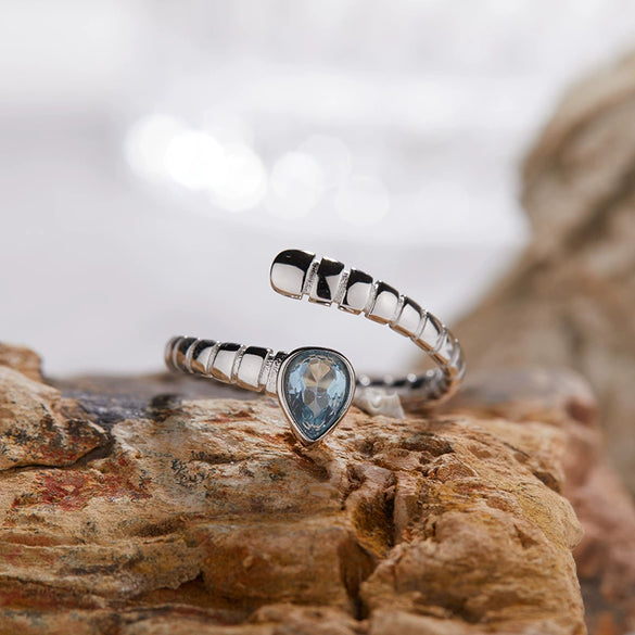 Wholesale S925 Sterling Silver Snake Crystal Ring Set With Gemstones For Men And Women Couple Ring Animal Zodiac Design