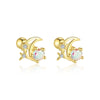 Wholesale S925 Sterling Silver Star Shape Zircon Earrings For Women With Crown Flower Bow Tie Design