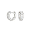 Wholesale Silver Fashion Simple Geometric Stone Earrings Inlaid Zircon