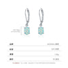 Wholesale 925 Silver Geometric Elegant Electroplated Women's Earrings