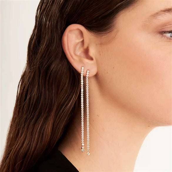 Wholesale 925 Silver Long Tassel Earrings For Women With Platinum Or 18K Gold Electroplating High End Light Luxury And Fashionable